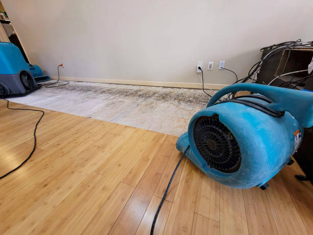 Professional Flood Damage Cleanup technician working in Leesville, LA